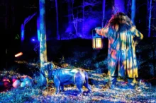 Halloweenské napodobení scény z Harryho Pottera