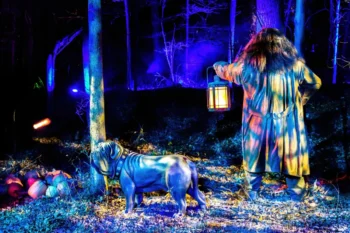 Halloweenské napodobení scény z Harryho Pottera