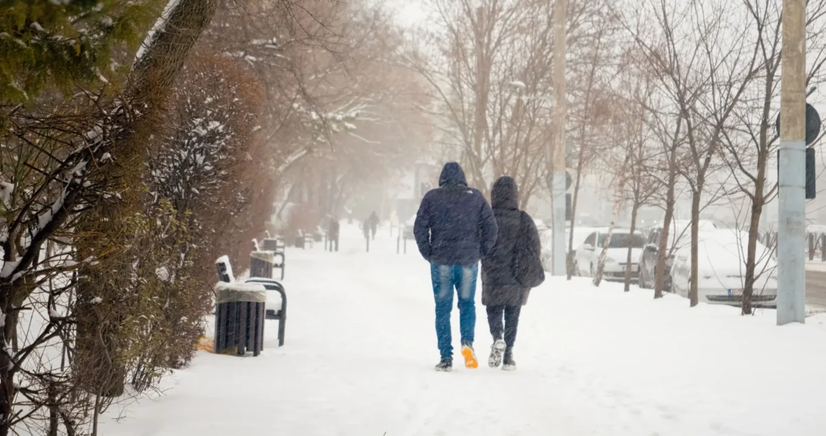 procházka ve sněhu