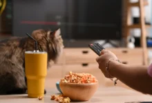 shutterstock_2122448072-2