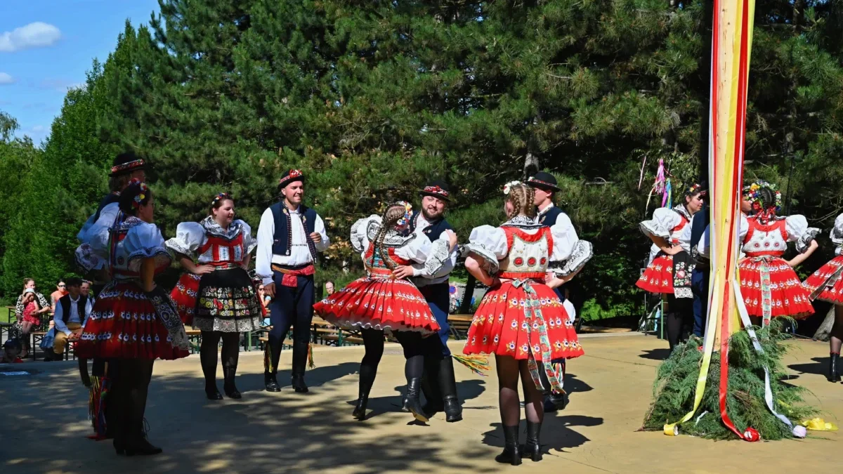 lidé v kroji tančí