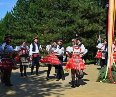 lidé v kroji tančí