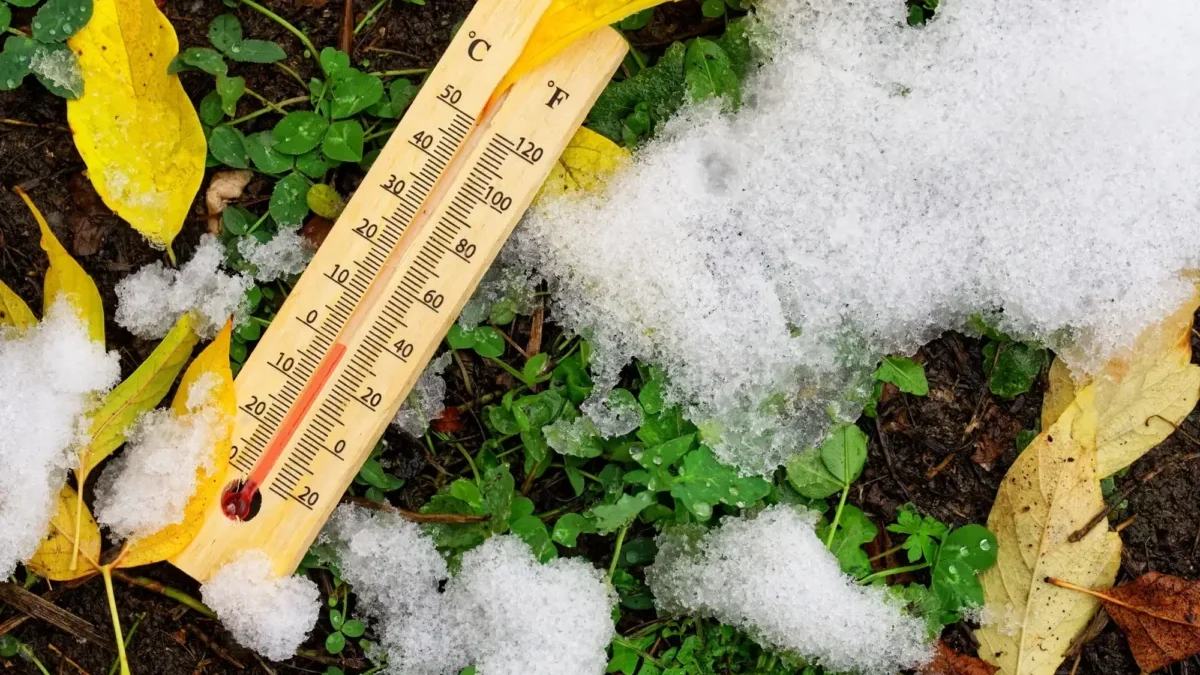 Na zemi leží teploměr.