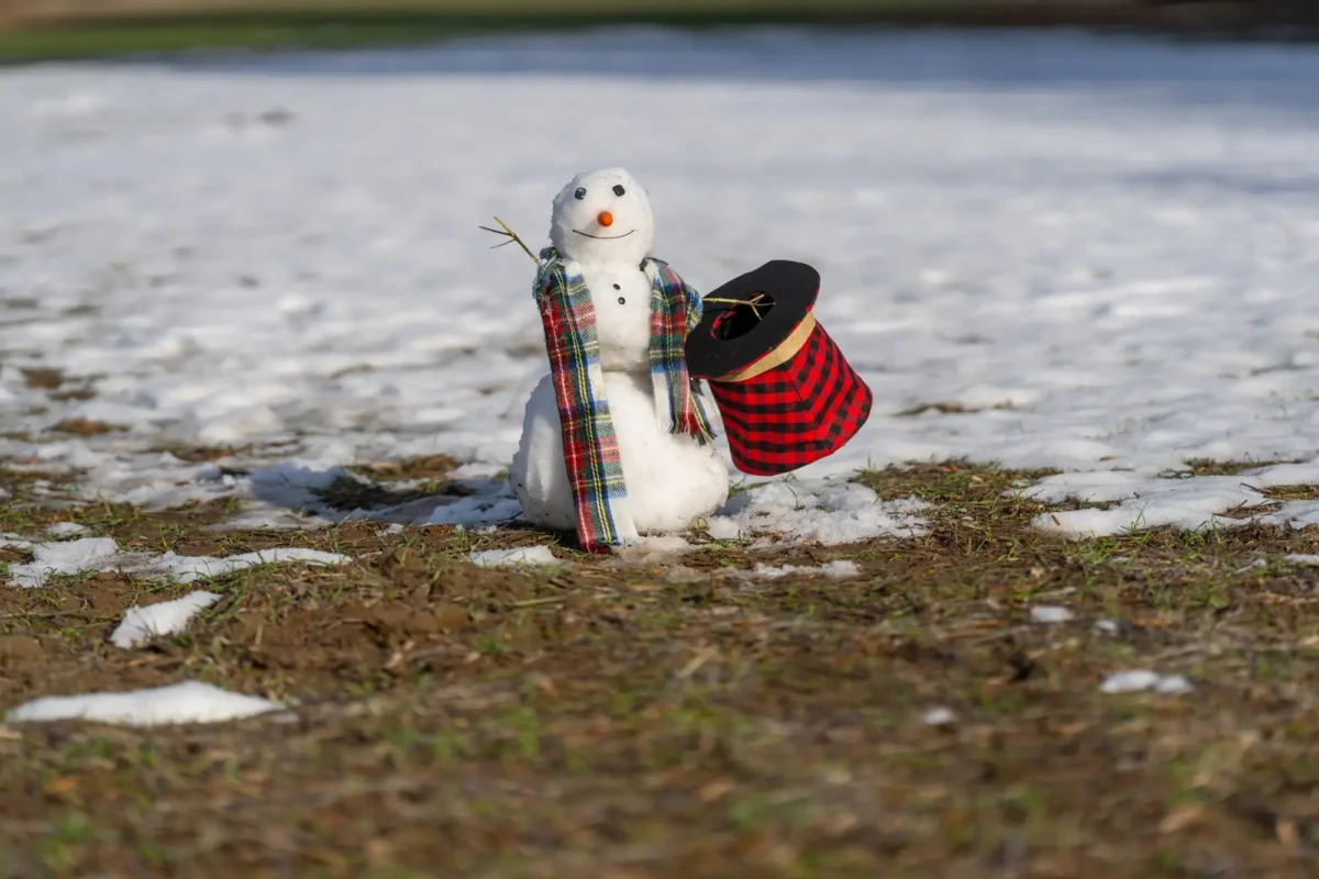 Na trávě stojí sněhulák.