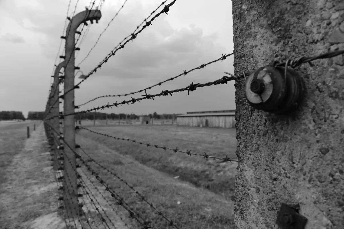 shutterstock_1651194676-2 | TVGURU.cz Ostnatý drát