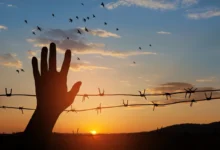 Ruka mává před ostnatým drátem.