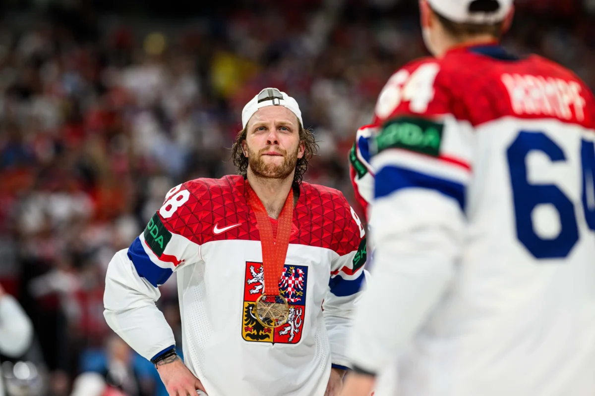 Pastrňák stojí na ledu. 