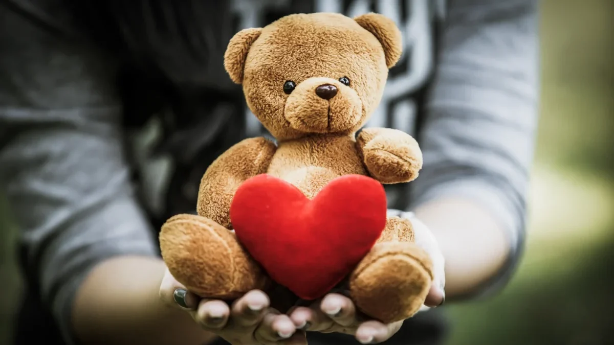 Člověk v rukách drží medvídka.