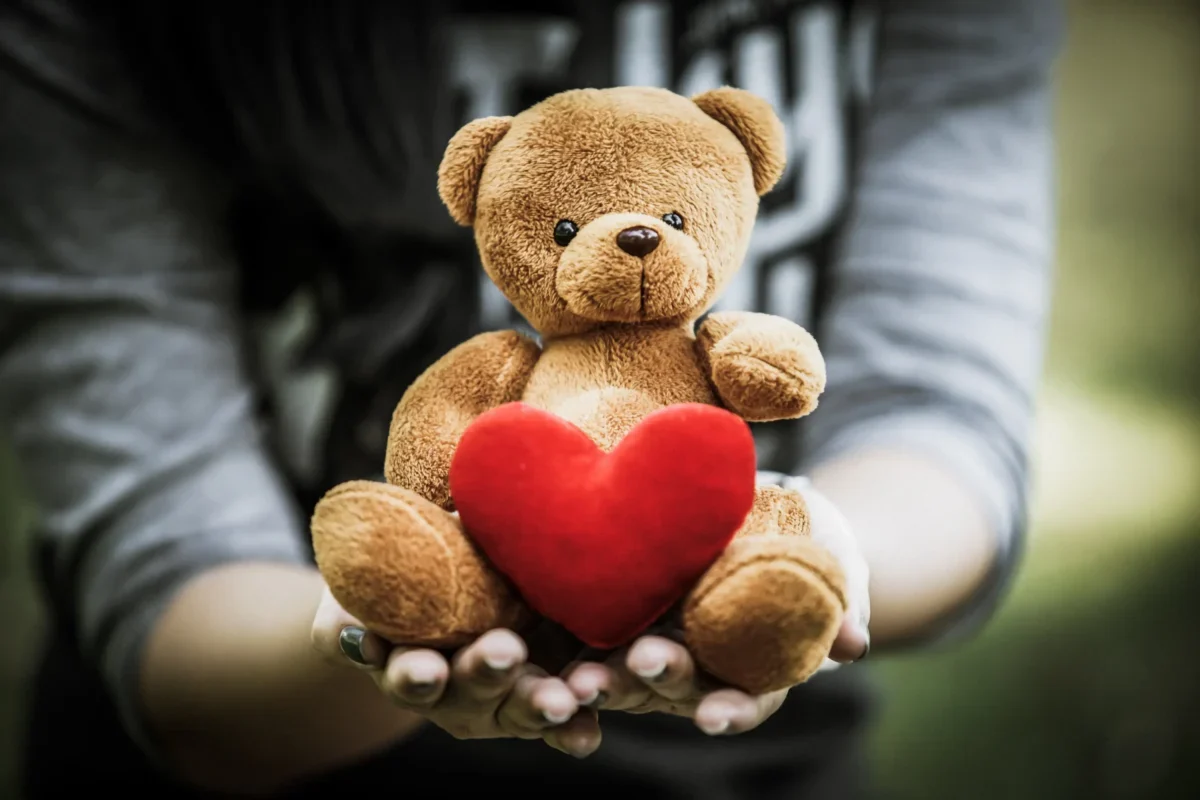 Člověk v rukách drží medvídka.