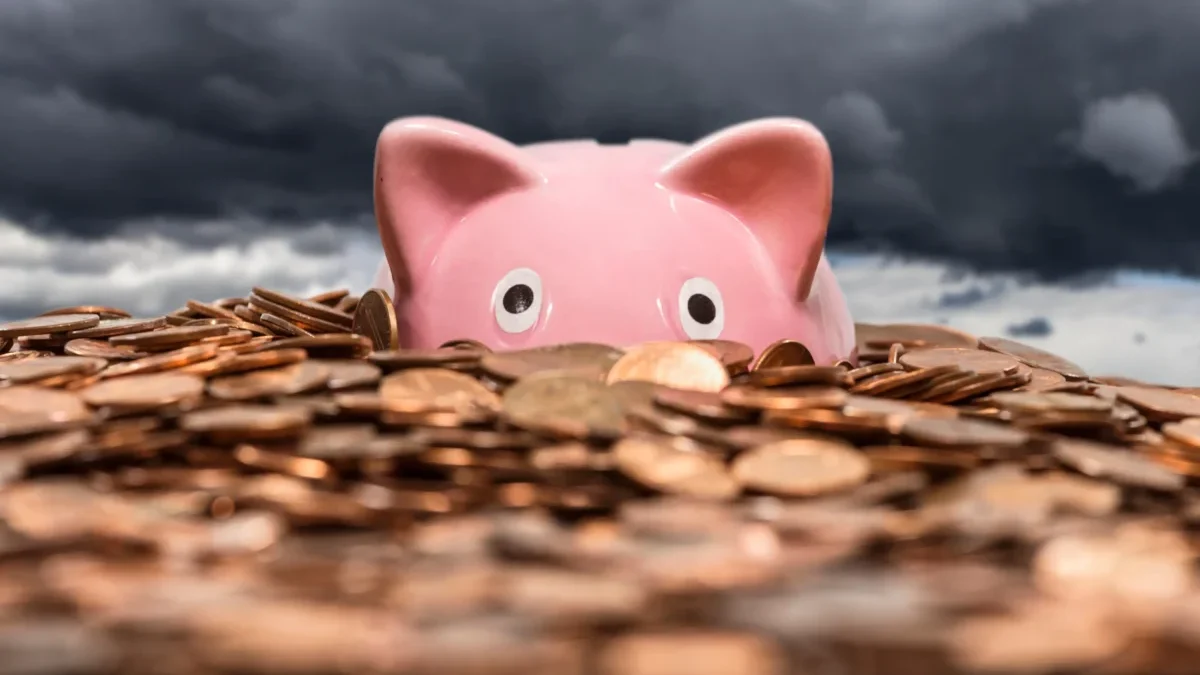 Prasátko je obklopené mincemi.