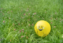 V trávě se válí balonek s nakresleným úsměvem.