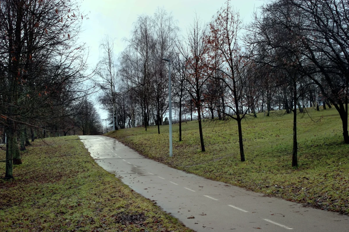 Mokrá cesta vedoucí parkem