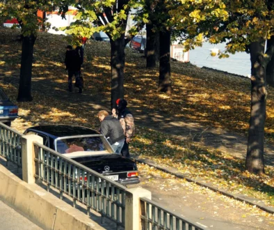 Retro auta parkují podél plotu.