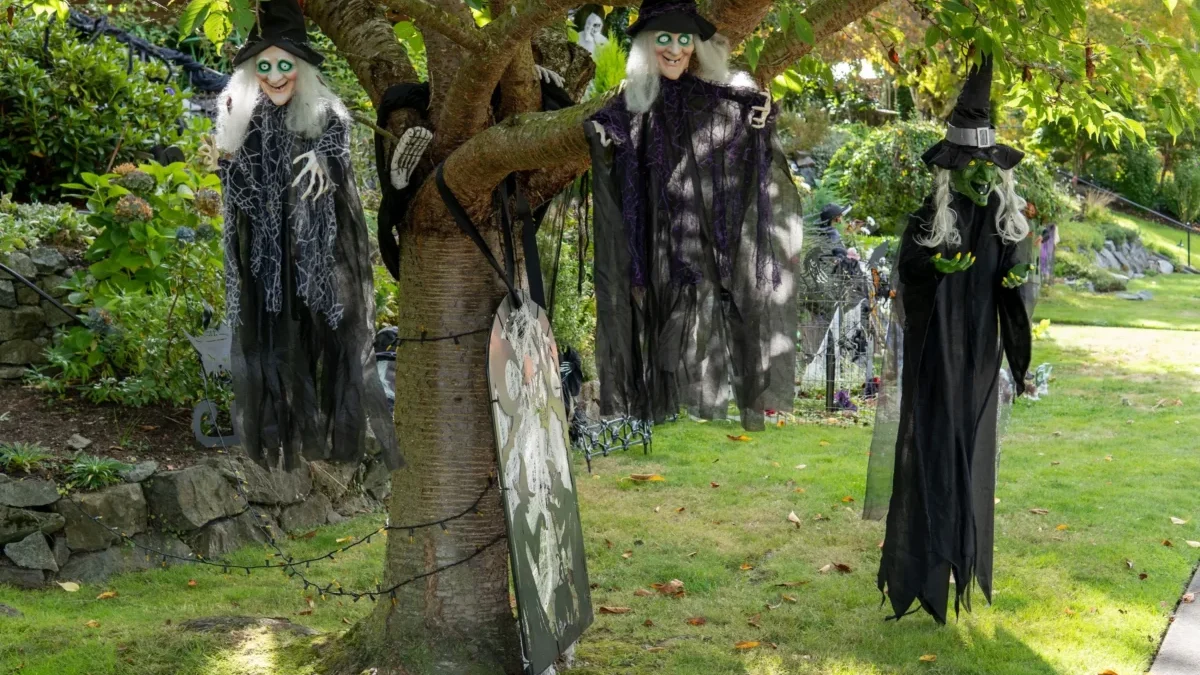 visící čarodějnice na větvi