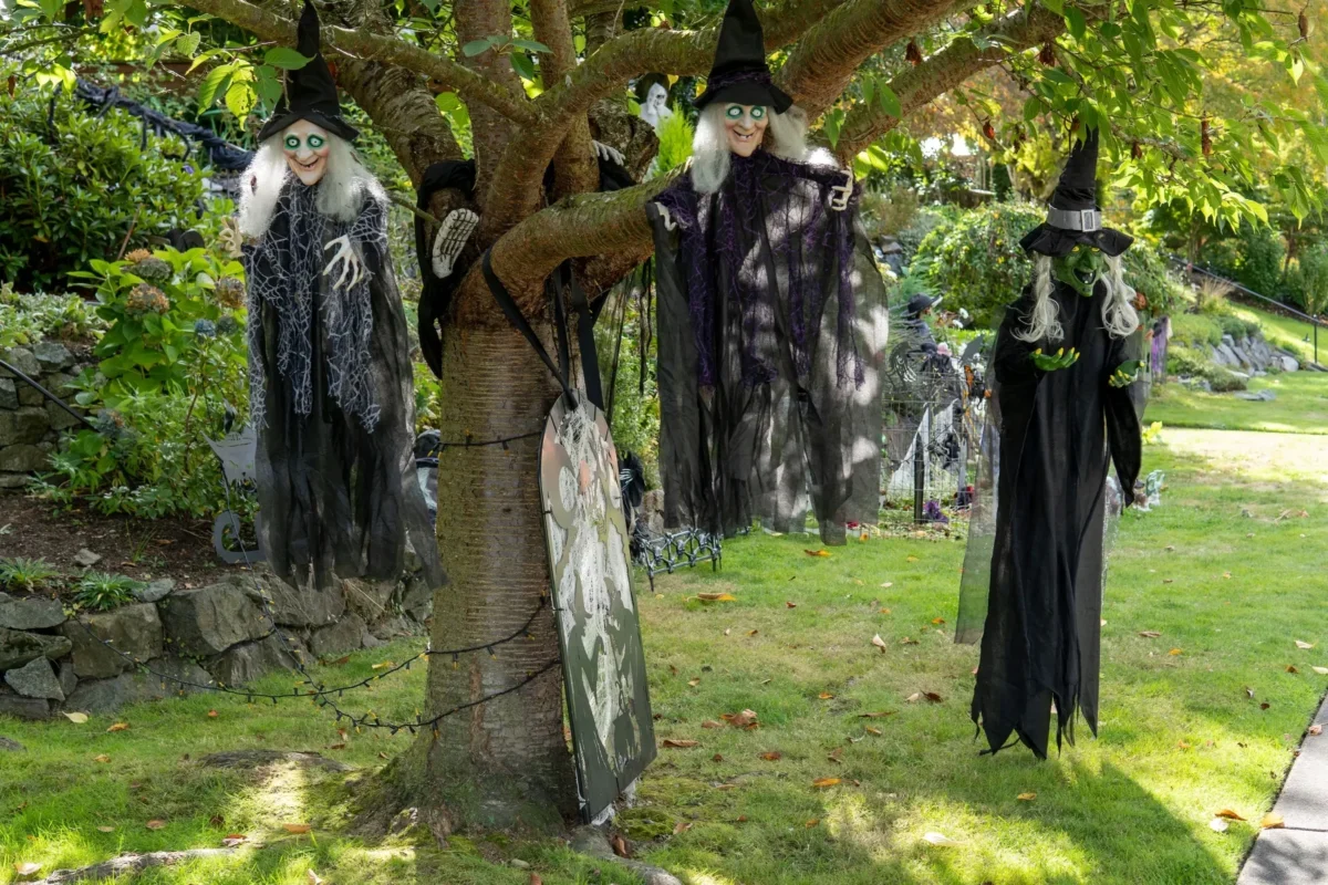 visící čarodějnice na větvi