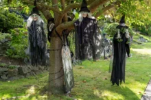 visící čarodějnice na větvi