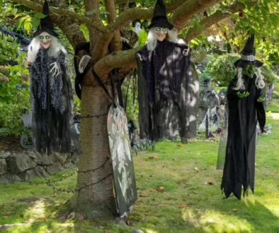 visící čarodějnice na větvi