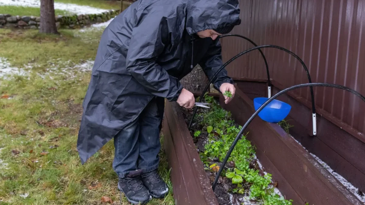 Už se to nedá vydržet. Jdeme do toho za každého počasí