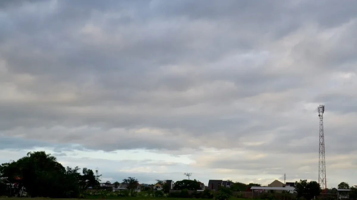 shutterstock_2672988131-2