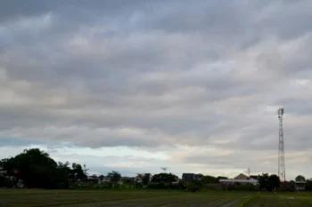 shutterstock_2672988131-2