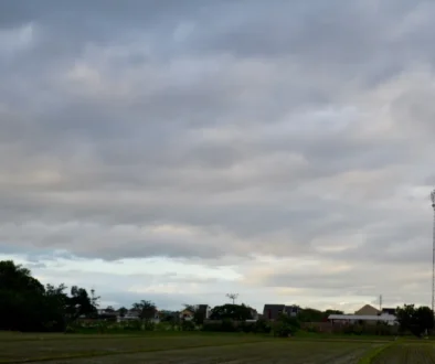 shutterstock_2672988131-2