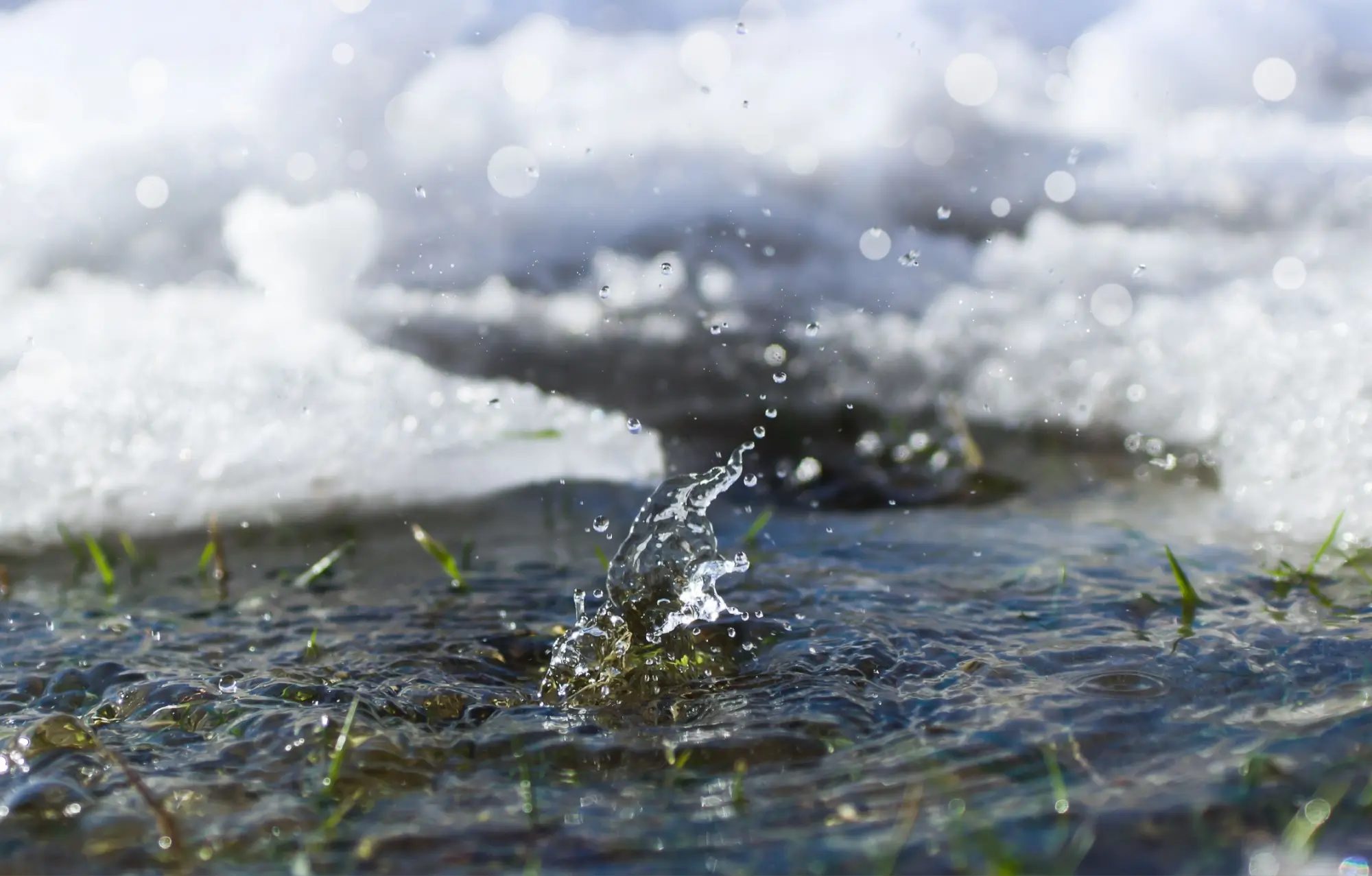 Déšť a tající sníh mohou naplnit koryta potoků
