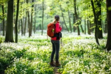 shutterstock_2462799159-2