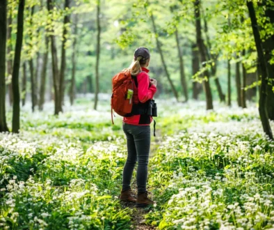 shutterstock_2462799159-2