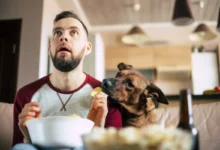 Vyděšený muž kouká na televizi se psem