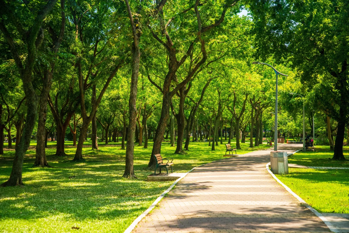 shutterstock_2634241313-převedeno-z-jpg 1 | TVGURU.cz park