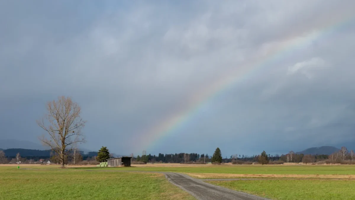 Zelenající se park s duhou.