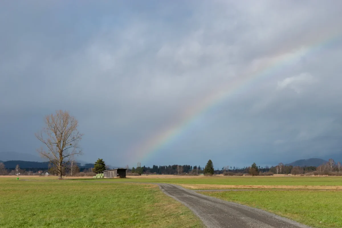 Zelenající se park s duhou.