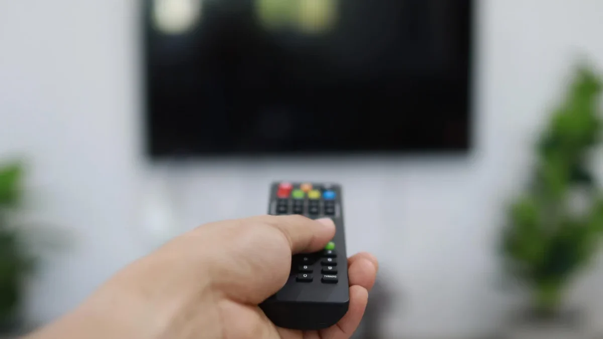 zapínání televize