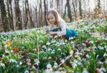 Holčička klečí mezi rozkvétajícími květinami.