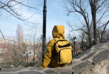 Teplo, slunce, to je obrázek posledních únorových dní. Zdroj: Shutterstock