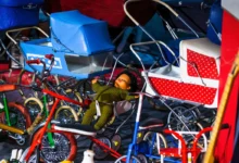 shutterstock_2589658377-2