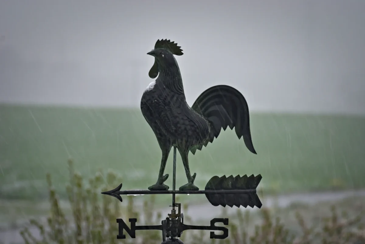 shutterstock_628949759 | TVGURU.cz Plechový kohout v dešti