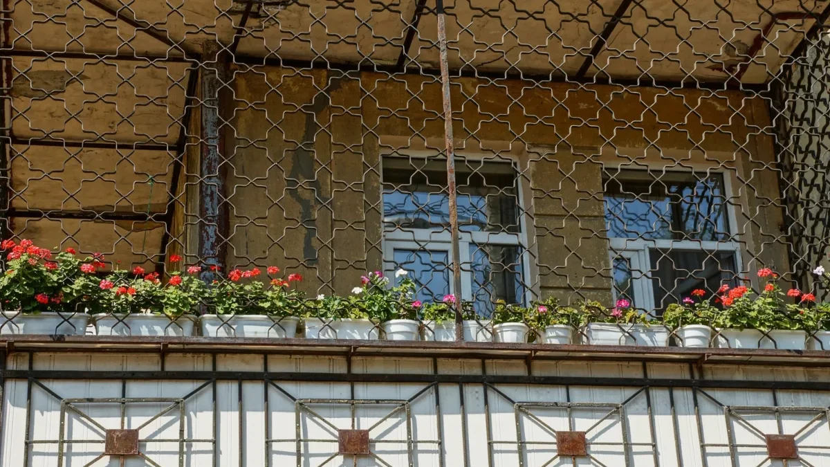 shutterstock_1199581069-2