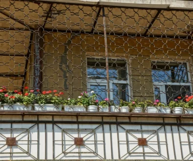 shutterstock_1199581069-2