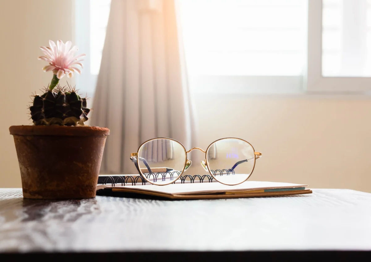 Na stole leží kniha, brýle a kaktus. 