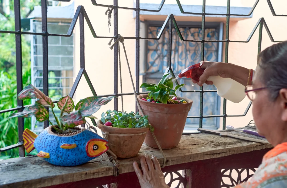 shutterstock_2280416849-2 | TVGURU.cz Paní zalévá rostliny na balkoně.