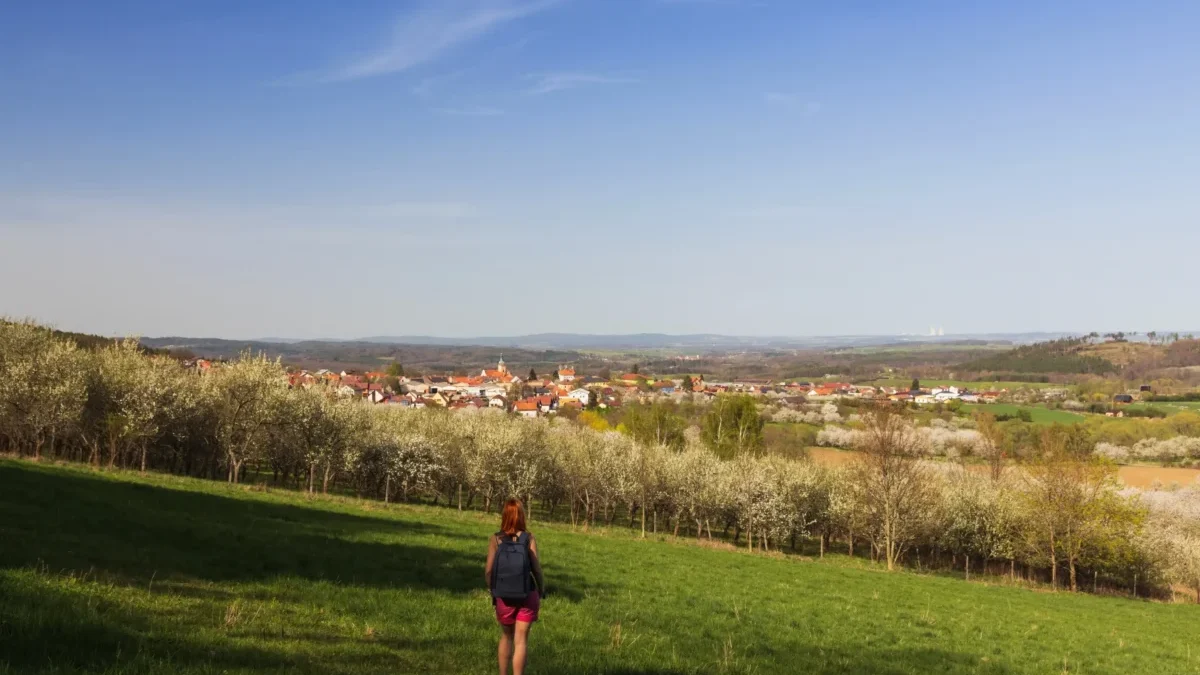 Žena kráčí loukou.