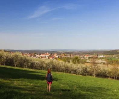 Žena kráčí loukou.