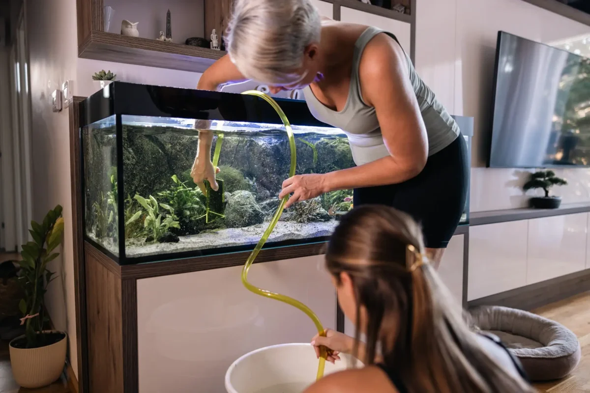 Péče o akvárium není náročnější než péče třeba o psa. Zdroj: Shutterstock | TVGURU.cz Péče o akvárium není náročnější než péče třeba o psa. Zdroj: Shutterstock