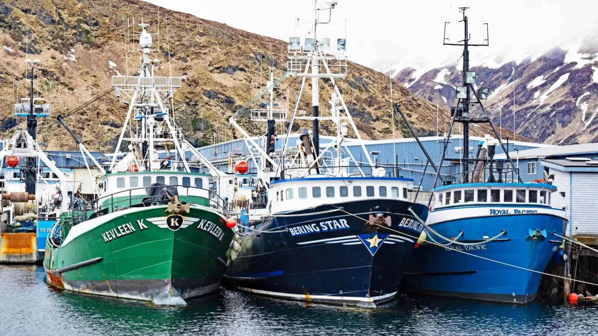 Lodě kotvící u břehu.