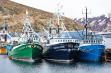 Lodě kotvící u břehu.