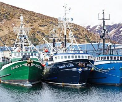 Lodě kotvící u břehu.