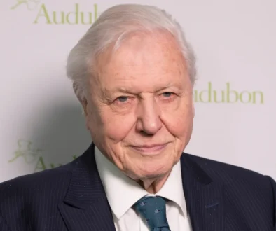 shutterstock_1039038541-2