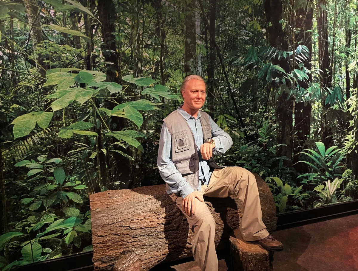 David Attenborough jako vosková figurína 