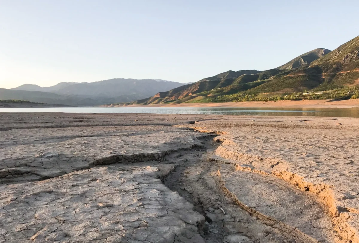 Různorodá příroda